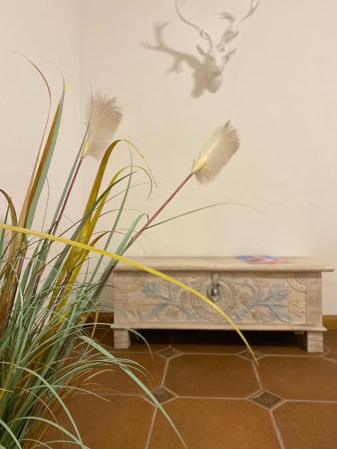 Grosszuegige Ferienwohnung Am Tegernsee Mit Suedbalkon Und Wallbergblick บาดวิสเซ ภายนอก รูปภาพ